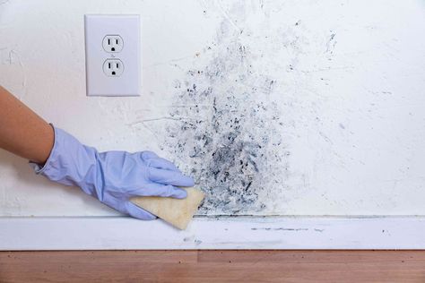 Kill the Mold and Get Rid of the Stains on Your Walls Best Mold Remover, Bathroom Ventilation Fan, Hvac Ductwork, Toxic Mold, Cleaning Methods, Leaky Faucet, Types Of Mold, Mold Remediation, Vinegar Cleaning