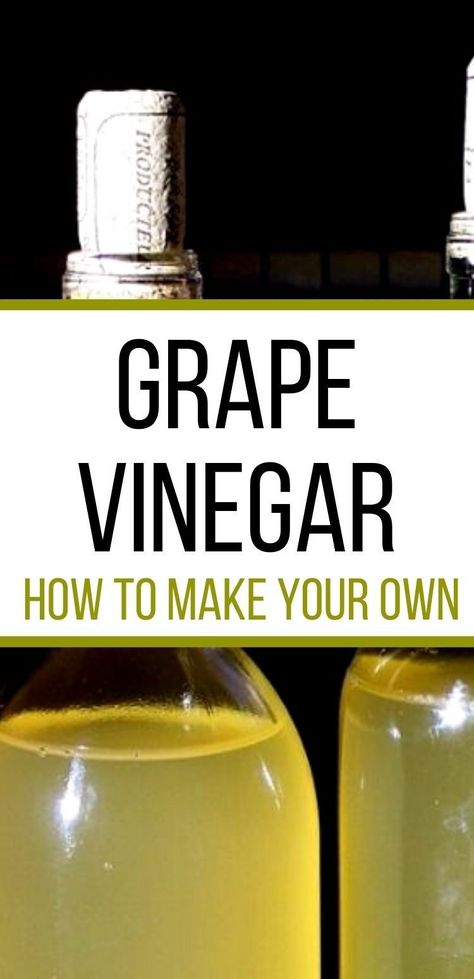 Learn how to create a traditionally fermented fruit vinegar with your grape harvest! Red Wine Vinegar Recipes, Fermented Fruit, Grape Vinegar, Diy Vinegar, Fruit Vinegar, How To Make Vinegar, Recipe For Beginners, Grape Harvest, Preserving Herbs