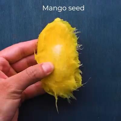 Mango Video, Plantarea Legumelor, نباتات منزلية, Vegetable Garden Diy, Garden Vegetables, Fall Garden Vegetables, Plant Hacks, Gardening Hacks, Veg Garden