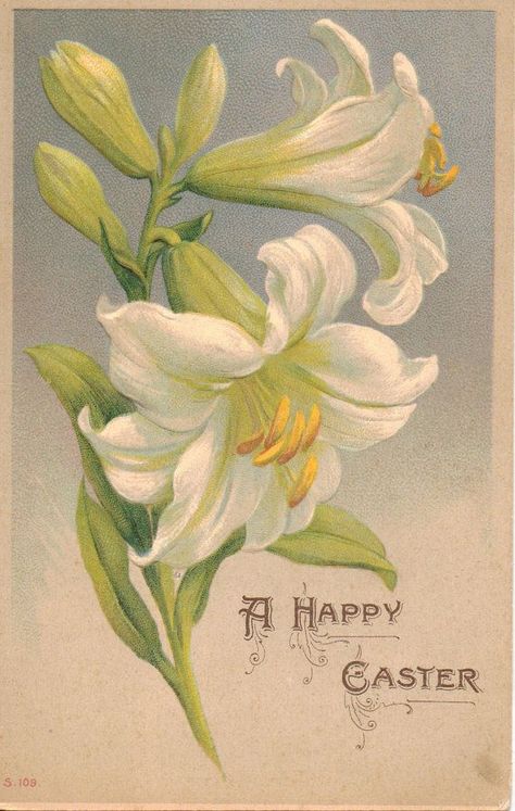 Easter Lily Flower, Lily Images, Lilies Drawing, White Lily Flower, Vintage Easter Postcards, Vintage Easter Cards, Lily Painting, Easter Lily, Watercolor Painting Techniques