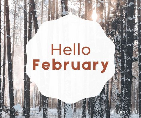 180 Hello February Quotes February 1st Quotes, February Love Quotes, Happy February Quotes, February Captions, Sayings For Kids, Hello February Quotes, February Winter, Welcome February, February Quotes