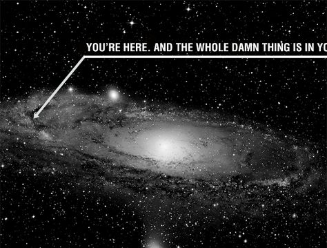 ^ YOU'RE HERE Stephen Hawking Books, Spiral Galaxy, Nebulas, Galaxy Poster, Space Universe, Andromeda Galaxy, Tilt Shift, Hubble Space, Space Photos