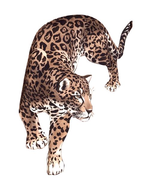 Leopard Drawing, Big Cat Tattoo, Jaguar Tattoo, Dibujos Toy Story, Leopard Tattoos, Tiger Tattoo Design, Leopard Art, Big Cats Art, Tiger Art