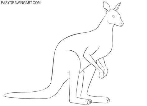 how to draw a kangaroo pictures Kangaroo Pictures, Draw A Kangaroo, Kangaroo Tail, Kangaroo Drawing, Drawings To Trace, Drawing Lesson, Floral Wallpaper Phone, Easy Drawings Sketches, Acrylic Painting Tutorials