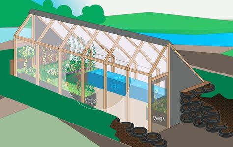 Earthship Greenhouse Northern Greenhouse, Aquaponics Greenhouse, Greenhouse Farming, Plants Growing, Greenhouse Plans, Aquaponics System, Diy Greenhouse, Garden Greenhouse, Greenhouse Gardening