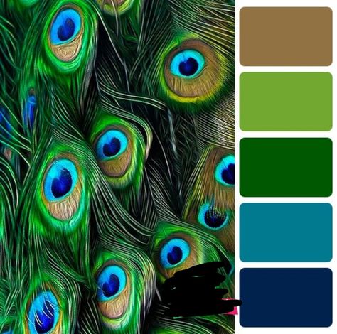 Peacock Color Scheme, Yarn Color Combinations, Christmas Color Palette, Create Color Palette, Colour Combinations Fashion, Color Palette Challenge, Paint Color Schemes, Color Schemes Colour Palettes, Fall Color Palette