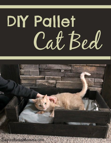 Spoil your fur-baby and create this DIY Pallet Cat Bed today! It is both simple and inexpensive. #YouGottaBeKittenMe Cool Cat Beds, Diy Cat Tent, Cat House Plans, Diy Cat Bed, Pallet Dog Beds, Cardboard Cat House, Diy Dog Crate, Cat Houses Indoor, Cat Tree House