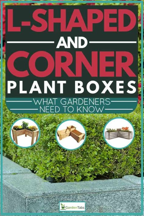 L-Shaped and Corner Planter Boxes: What Gardeners Need to Know. Article by GardenTabs.com #garden #gardening #gardendesign #gardenideas #gardeningtips L Shaped Planter Boxes, Corner Planters Outdoor, Corner Planter Boxes, Patio Flower Boxes, Garden Corner Ideas, Corner Planter, Yard Planters, Sophisticated Garden, Golden Afternoon