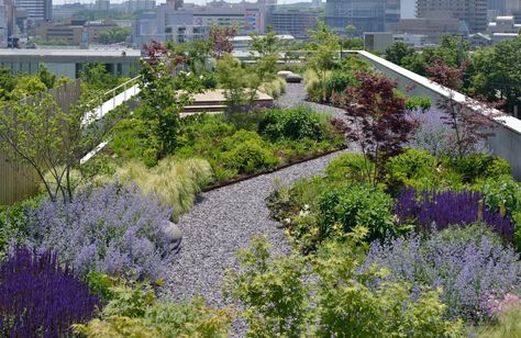 Green Wise Headquarters Roof Garden | SITES Green Roof Garden, Roof Garden Design, Garden Site, Rooftop Design, Sustainable Landscaping, Garden Pictures, Rooftop Garden, Plants And Flowers, Roof Garden