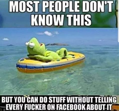 Funny Kermit Memes, Kermit Funny, Choreography Aesthetic, Humor Quotes, Funny Quotes Sarcasm, Bollywood Dance, Funny Cartoon Quotes, Best Pics, Cartoon Quotes