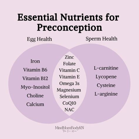 We advocate for a WHOLE BODY & WELLNESS approach when it comes to preconception health, looking at both Egg and Sperm health. Looking to get pregnant? Our signature "Foundations of Fertility" program will take you through 6-weeks of diet, exercise, mindset, and environment preparations to ensure you are giving your body what it needs for a healthy pregnancy. DM us for more on this program or book a free call with one of our coaches through our bio. Improve Egg Quality Fertility, Increase Fertility Trying To Conceive, Tips For Conceiving, Pregnancy Herbs, Tips For Getting Pregnant, Preconception Health, Preconception Planning, Pregnancy Planning, Holistic Fertility