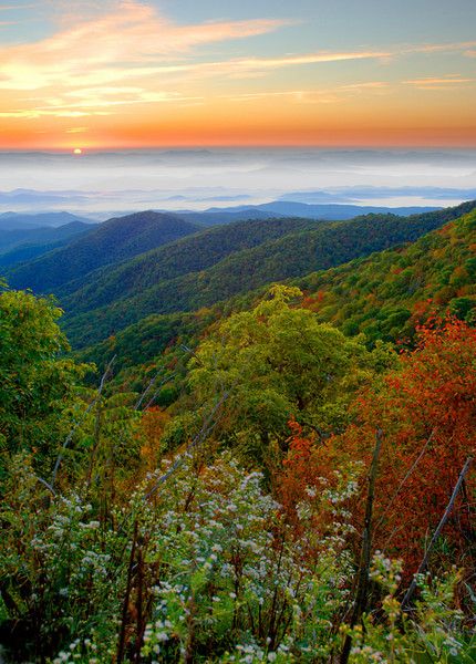 Blue Ridge Parkway near Mt. Pisgah overlook Prairie Art, Mountain Overlook, Fall Landscapes, Mountain Scenes, Dave Allen, Carolina Mountains, Mountain Landscapes, Nc Mountains, Air Fire