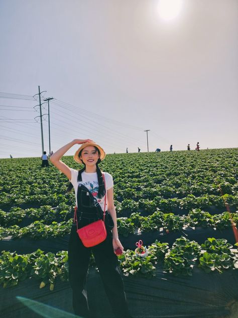 strawberry outfit Strawberry Fashion Aesthetic, Picking Strawberries Outfit, Outfits For Strawberry Picking, Strawberry Picking Outfit Aesthetic, Cute Strawberry Picking Outfits, Strawberry Picking Aesthetic, Strawberry Picking Pictures, Strawberry Picking Outfit, Strawberry Outfit