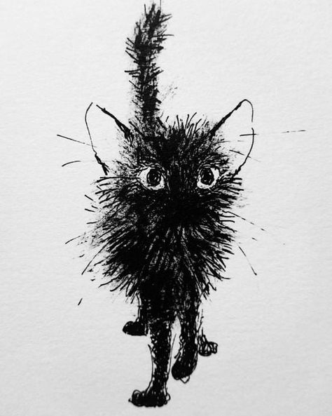 Drawing Cat, A Black Cat, Ink Drawing, A Cat, A Black, Black Cat, Black And White, Hair, White