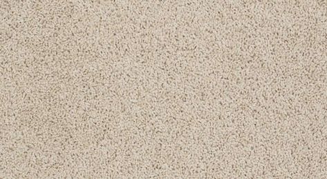 Tuftex Zara "Chic Cream" - Level 3 Greige Carpet, Cream Carpet, Reduce Energy Bill, Shaw Flooring, Shaw Carpet, Shaw Floors, Carpet Styles, Latest Colour, Types Of Flooring