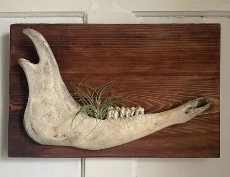 Books Crafts Diy, Diy Oddities, Western Craft Ideas, Bone Painting, Bone Hunting, Animal Skull Decor, Bone Dust, Hunting Crafts, Painted Antlers