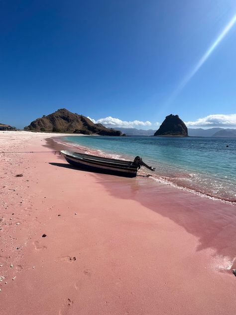 The best thing to do when you arr in Indonesia is a 4D3N trip from Lombok to Flores to visit the komodo Islands Lombok Island, Komodo Island, Dream Trips, Tropical Beaches, Pink Beach, Komodo, South Asia, Lombok, Southeast Asia