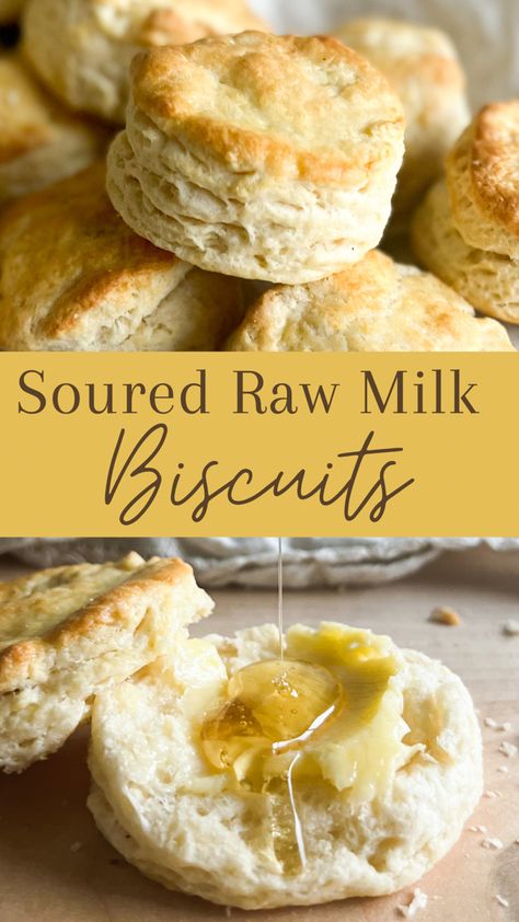 Sour Milk Biscuits Recipe, Sour Milk Biscuits, Fresh Milk Recipes, Recipes With Sour Milk, Spoiled Milk Recipes, Sour Milk Recipes Baking, Baking With Milk, Milk Recipes Ways To Use, Recipe To Use Up Milk