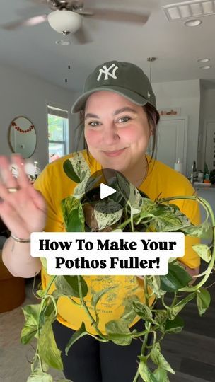 2.7K views · 2.1K reactions | How to make your pothos fuller 👇🏻👇🏻

This beautiful marble queen/snow queen pothos has insane variegation but it’s literally a one strand plant 🪴🤣

I chopped up a few leaves under the node & put them in water with some “Prop Drops” from @marketbotany - needless to say I am obsessed 🙌🏻

In just a few weeks these props will be ready for their new home and we’ll make this Pothos more beautiful than it already is! 

🪴save this video & check back in, in a few weeks for an update!! 

✨ what Pothos is your favorite out of the bunch?! 

#pothospropagation #pothosplant #pothosplants #pothoslove #pothos #propagationstation #propagationsuccess #houseplantlove | sarah anne | houseplant enthusiast How To Make Pothos Fuller, Pathos Plant Care, Pothos Plant Decor Ideas, Pothos Climbing Ideas, Snow Queen Pothos, Marble Queen, Pothos Plant, Snow Queen, In Water