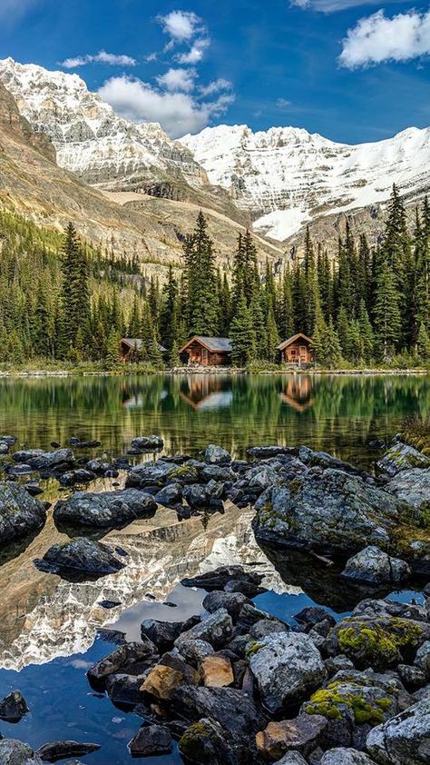 Lake Ohara, Travel Alberta, Mountain Reflection, Romantic Cabin, Yoho National Park, British Columbia Canada, Cool Landscapes, Mountain Lake, Cabins In The Woods