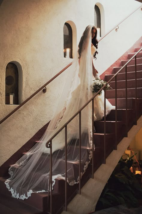 Long Veil Wedding Photos, Lace Wedding Dress Long Train, Long Veil Wedding Photography, Cathedral Veil Photography, Regal Length Wedding Veil, Wedding Dress Long Veil, Long Veil Photography, Wedding Dress Long Train, Cathedral Length Wedding Dress