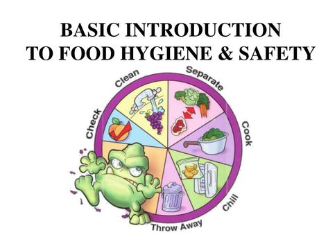 basic introduction to food hygiene safety n. Food Safety And Hygiene Posters, What Is Food, Food Wastage, Food Hygiene, Importance Of Food, Training Facility, Food Cartoon, Singapore Food, Refreshing Food