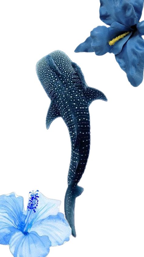 Whale Shark Wallpaper, Whale Wallpaper, Shark Wallpaper, Surf Room Decor, Shark Whale, Surf Room, Whale Shark, Surfing, Room Decor