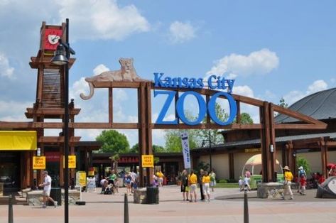 Kansas City Zoo. I haven't been to see the new Polar Bear Exhibit.. I think it's over priced. I'd rather visit Omaha Zoo Kansas City Attractions, Omaha Zoo, Zoo Tickets, Zoo Aquarium, City Zoo, Family Vacation Destinations, Kansas City Missouri, The Zoo, City Trip