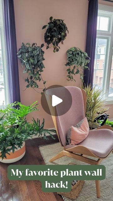 Planted Souls - Interior Plant Design and Workshops on Instagram: "Many of you have been curious about these planters from my last reel, so here's more on my favourite planters for creating stunning plant walls. 

I swear by these Wally Grow Eco Planters, they are effortless to use and designed to keep your plants healthy and thriving! 

Drop a "plant wall" in the comments for a link!" Plant Walls, Interior Design Plants, Plant Growing, Interior Plants, Reading Corner, Plant Design, Plant Wall, Hair Cut, My Last