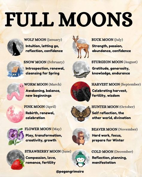 Full Moon Calendar, Full Moon Names, Names And Meanings, Sturgeon Moon, Lunar Witch, Manifestation Spells, Moon Names, Cold Moon, Moon Rituals