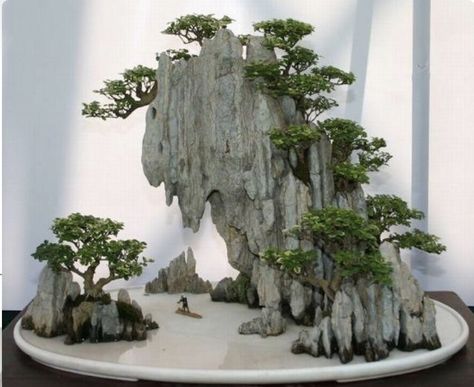 Hypertufa Recipe, Bonsai Collection, Bonsai Forest, Japanese Bonsai, Indoor Bonsai, Meteor Garden 2018, Bonsai Art, Garden Terrarium, Miniature Trees