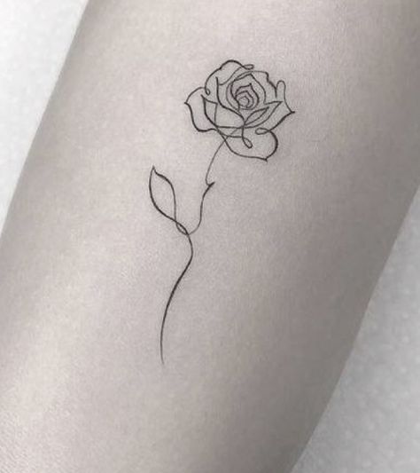 Rose Tattoo, Tattoo On, Tattoo Designs, Tattoos, Design