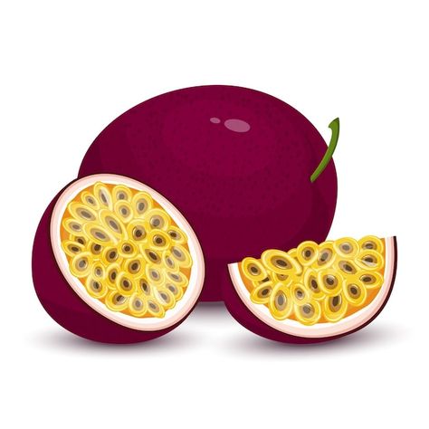 Free Vector | Passion fruit  concept illustration Passion Fruit Illustration, Fruit Cartoon, Fruit Slices, Fruit Slice, Fruit Illustration, Passion Fruit, Cartoon Styles, Premium Vector, Cherry