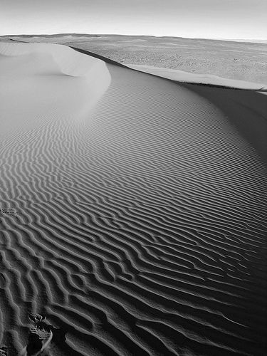 27 Powerful Black and White Photos of the Desert. Boho Photography, Photography Assignments, White Desert, Scenery Photos, The Sahara Desert, Black And White Landscape, Black And White Photos, Color Blind, Nokia Lumia