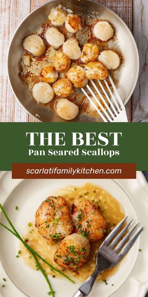 How To Cook Scallops In Pan, Scallops Dinner Ideas, Sauce For Scallops, Egg Sauce Recipe, Frozen Scallops, Fresh Scallops, How To Cook Scallops, Scallop Dishes, Valentines Dinner