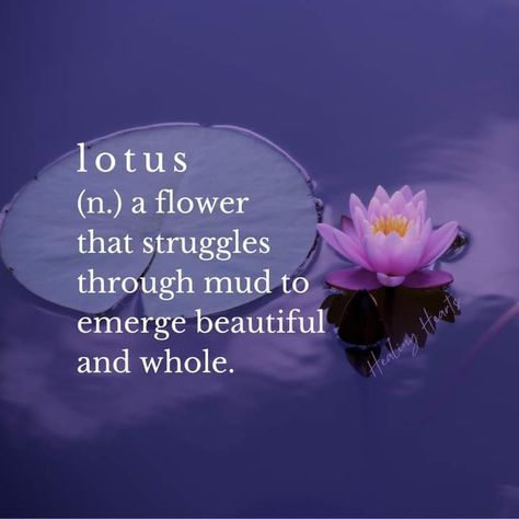 #lotus, #flower, #blume, #meaning, #strength, #motivation, #yoga, #garden, #spiritual Lotus Meaning, Lotus Flower Quote, Lotus Quote, Flower Quotes Inspirational, Lotus Flower Meaning, Yoga Garden, Paintings Nature, Flower Quote, Lotus Wallpaper