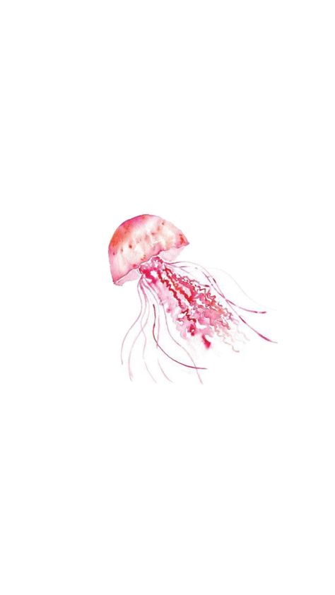 Summertime pink jellyfish art for summer beach Pink Jellyfish Wallpaper, Cute Flower Drawing, Wallpaper Rosa, Pink Jellyfish, Jellyfish Drawing, Pastel Poster, Cute Summer Wallpapers, Jellyfish Art, Cute Wallpapers Quotes