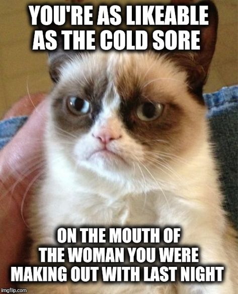 Grumpy Cat Memes - Imgflip Grumpy Cat Memes, Cat Grumpy, Grumpy Cat Meme, Grumpy Cat Quotes, Grumpy Cats, Cat Jokes, Cute Animal Memes, Meme Comics, Grumpy Cat Humor