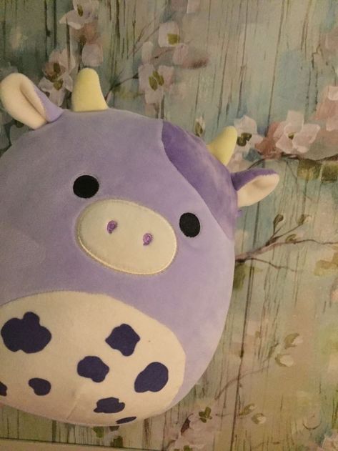 Purple Squishmallow, Squishmallows Purple, Purple Stuffed Animals, Squish Mellow, Cute Squishies, Purple Cow, Purple Vibe, Purple Birthday, School Organization Notes