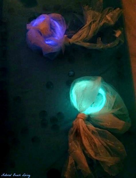 Night of the Moonjellies Part 2 Jellyfish Sensory Bin and Jellyfish Craft (FIAR) Jellyfish Sensory Bin, Underwater Sensory Bin, Night Of The Moonjellies, 2 Jellyfish, Fish Activities, Jellyfish Craft, Five In A Row, Sand Play, Daycare Ideas