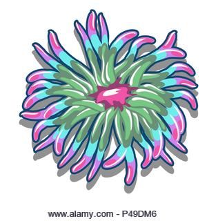 Sea Anemone Illustration, Sea Anemone Tattoo, Sea Anemone Drawing, Anemone Illustration, Backyard Mural, Anemone Tattoo, Fish Under The Sea, Nautical Embroidery, Sea Aquarium