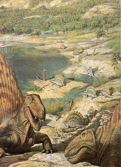 Vintage Dinosaur Art - Dimetrodon Vintage Dinosaur, Prehistoric Wildlife, Dinosaur Images, Dinosaur Illustration, Prehistoric World, Ancient Animals, Prehistoric Art, Paleo Art, Extinct Animals