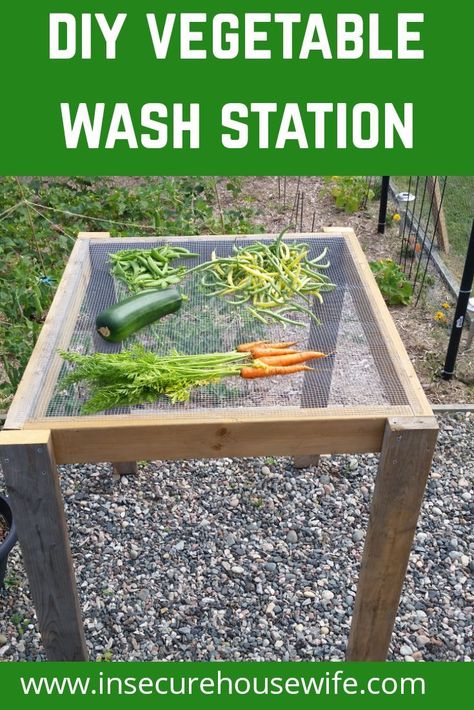 Make harvest time a breeze by building a DIY veggie wash station. This makes cleaning your freshly harvested veggies easy. Raised Bed Garden Layout, Veggie Wash, Vegetable Wash, Grow Your Own Vegetables, Wash Station, Raised Bed Garden, Backyard Vegetable Gardens, Garden Veggies, Veg Garden