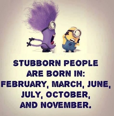 Stubborn People Are Born In: February, March, June, July, October & November!!!! Stubborn Quotes, Stubborn People, Quote Pictures, The Minions, Minion Pictures, Minion Jokes, Minions Despicable Me, Birthday Quotes Funny, Minion Quotes