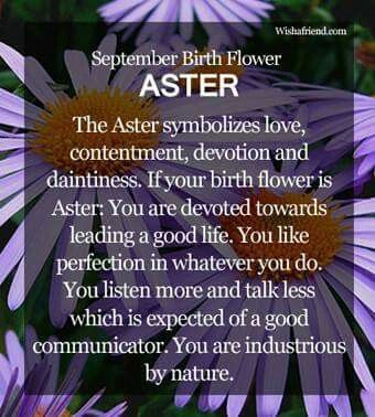 Aster Plant, Birth Symbols, September Birth Flower, Kids Schedule, Magical Herbs, Witch Spell Book, Flower Meanings, Herbal Magic, Magic Aesthetic