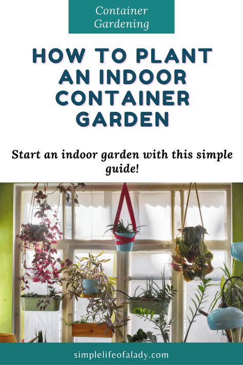 Here's a simple guide to help you start your very own indoor container garden! Indoor Plant Container Ideas, Indoor Container Garden, Recycled Containers, Easy Care Plants, Plant Tags, Low Light Plants, Low Maintenance Garden, Self Watering Planter, Root System