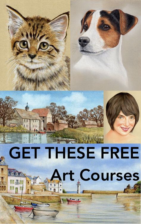 Pastel Pictures, Pastel Tips, Get Better At Drawing, Colin Bradley, Easy Art Lessons, Beginners Drawing, Pastels Art, Soft Pastels Drawing, Colouring Pencils