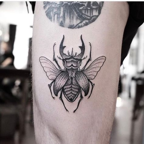 Related Tattoos, Beetle Tattoo, Serpent Tattoo, Insect Tattoo, Bug Tattoo, Fire Tattoo, Tattoo Portfolio, Tattoo Videos, Aesthetic Tattoo