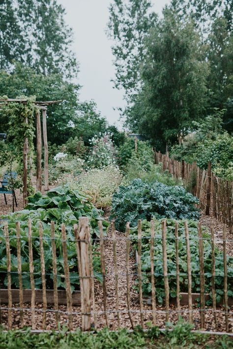 French Country Garden, Potager Garden, Veg Garden, Have Inspiration, Vegetable Garden Design, Perfect Garden, Garden Fencing, Flowers Garden, Veggie Garden