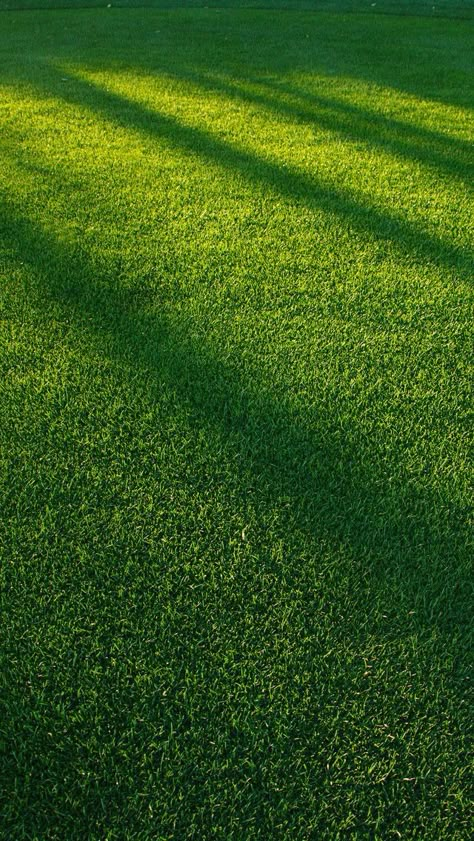 Grass Grass Wallpaper, Amoled Wallpapers, Minimal Wallpaper, Image Nature, Green Pattern, Nature Aesthetic, Green Grass, Screen Wallpaper, Ipad Wallpaper